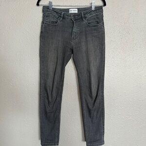 Dish Denim Skinny Jeans